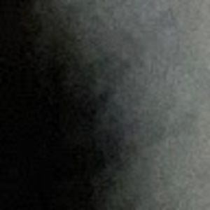 Meet your Posher, Owen